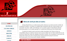 Pagina web de prezentare firma import-export