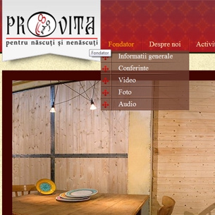 design-pagina-web-asociatie-non-guvernamentala