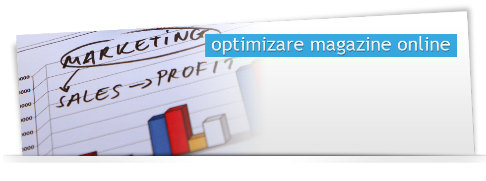 Optimizare magazin online