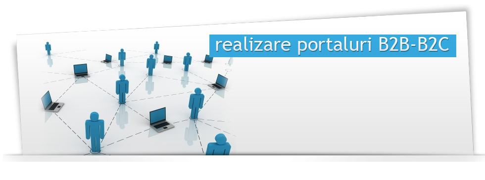 Realizare portaluri B2B-B2C