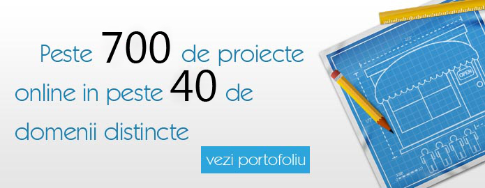 Portofoliu proiecte web design